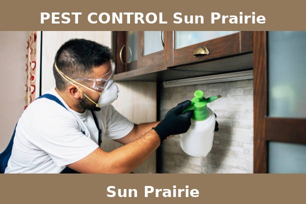 PEST CONTROL Sun Prairie